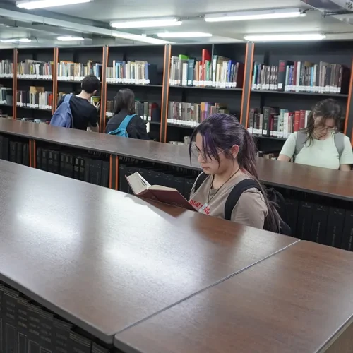 biblioteca-6